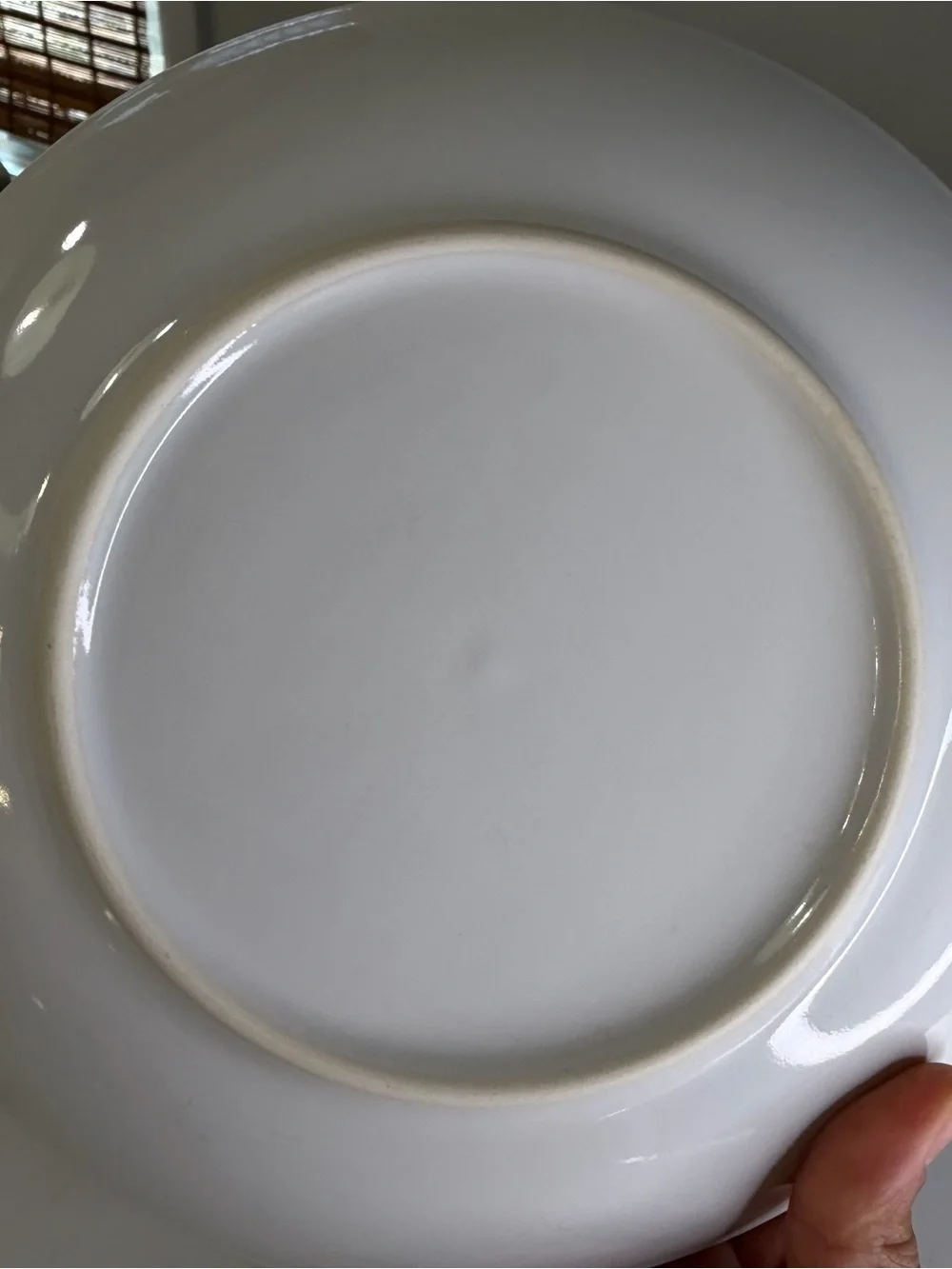 Crate and Barrel White Ceramic Plate with Black Brushstroke Rim